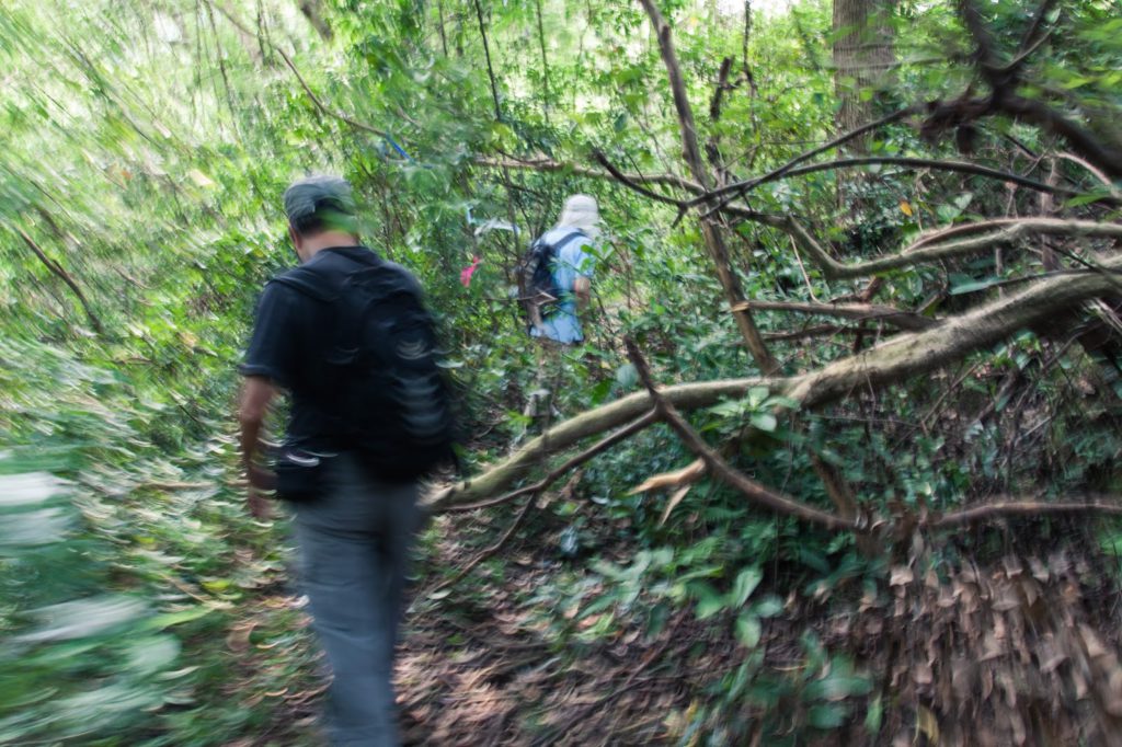 向著黃茅坑山進發