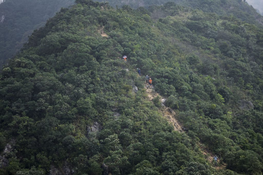 登山遊人不斷，都是往吊手岩挑戰