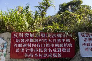 香港最大的問題，從來都是土地問題。是否開發郊野公園，從來都是極敏感的議題。