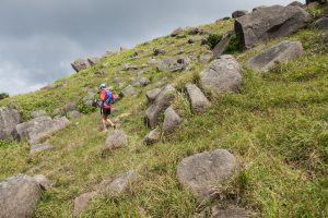 如何使用行山杖登山