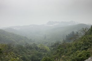 行走南大嶼山郊遊徑，可惜是霧氣濃濃