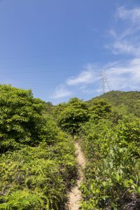 上山路段全是這種明闌山路，但是整座山都沒有大樹可供遮陰，要上龍山，請注意防曬