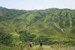 龜頭嶺 ，回望背後的屏風山