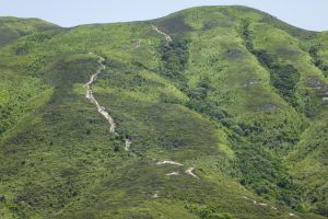 遠望往屏風山的山路