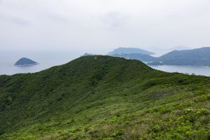 沿著龍蝦灣郊遊徑，右邊是牛尾海，一路走來，習習涼風，不算太辛苦