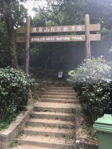 我們在鷹巢山郊野公園入去迎接獅子山精神隊