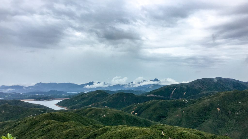 每星期都要走上山，看看郊外風光，的確可以暫時忘記生活的苦痛。