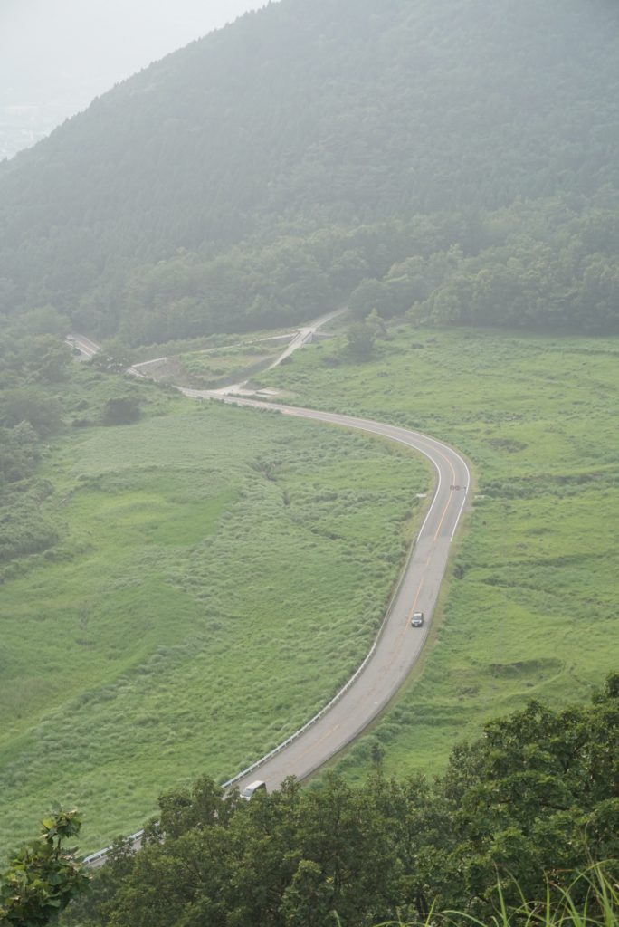 上山公路兩邊盡是綠色， 相當悅目。