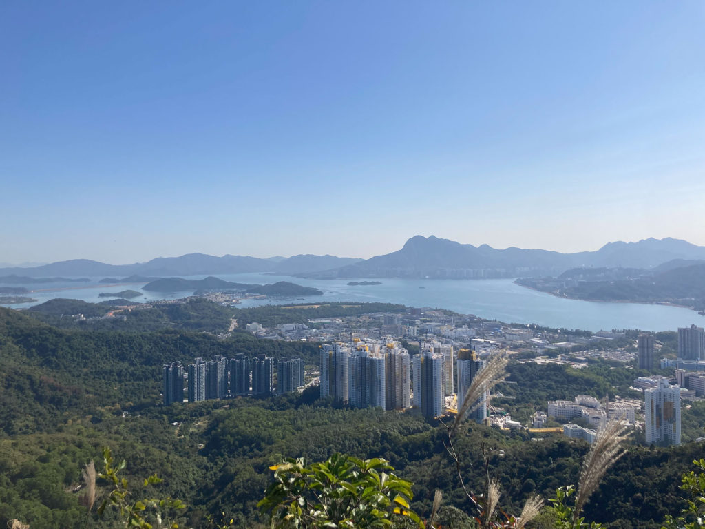 在九龍坑山上看吐露港