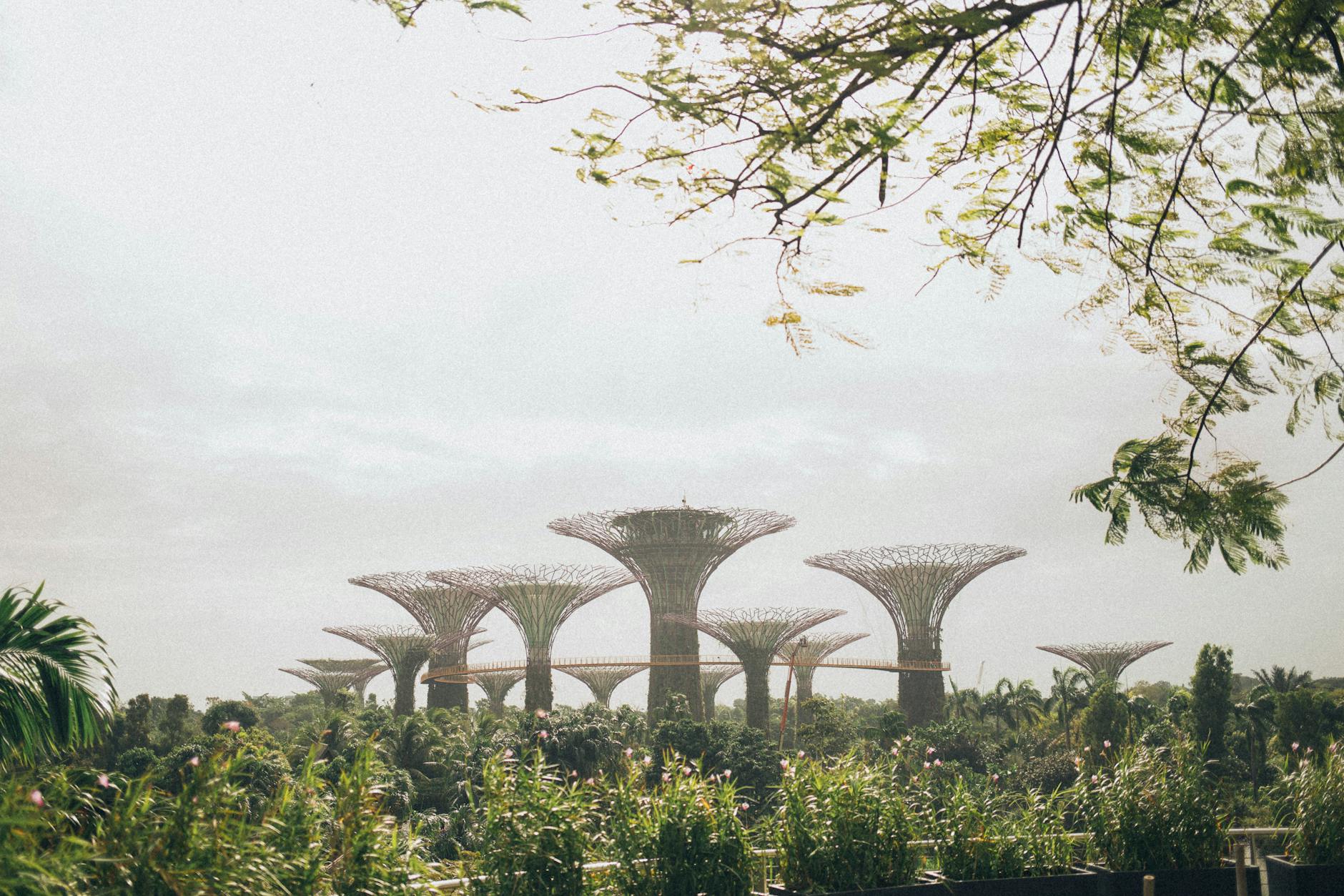 gardens by the bay singapore